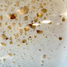 Laden Sie das Bild in den Galerie-Viewer, Bio Sauerteig Anstellgut Lievito Madre - 25.stunden.BROT