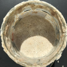 Laden Sie das Bild in den Galerie-Viewer, Bio Sauerteig Anstellgut Weizen - 25.stunden.BROT