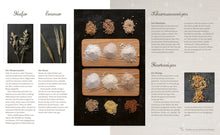 Laden Sie das Bild in den Galerie-Viewer, Brot von daheim (Monika Rosenfellner, Buch) - 25.stunden.BROT