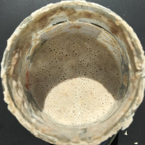 Bio Sauerteig Anstellgut inkl. Versand (bitte nur mit Gutschein kaufen) - 25.stunden.BROT
