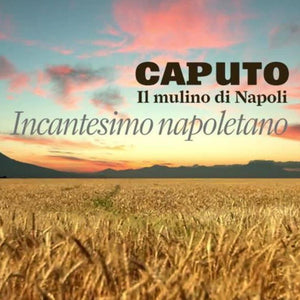 Mehl Typ 00 - Caputo Classica (Weizenmehl) - 25.stunden.BROT